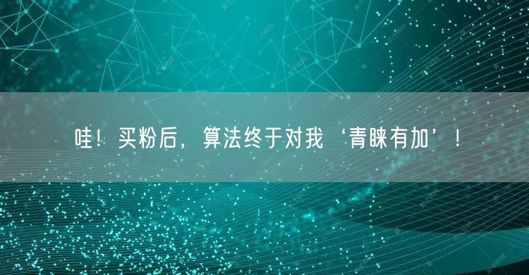 哇！买粉后，算法终于对我‘青睐有加’！