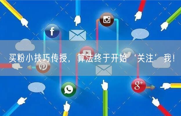 买粉小技巧传授，算法终于开始‘关注’我！
