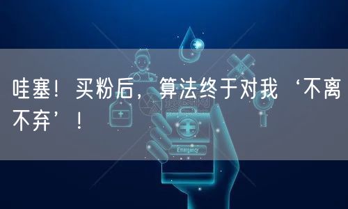 哇塞！买粉后，算法终于对我‘不离不弃’！