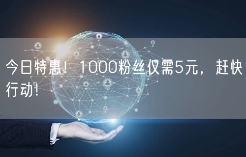 今日特惠！1000粉丝仅需5元，赶快行动！