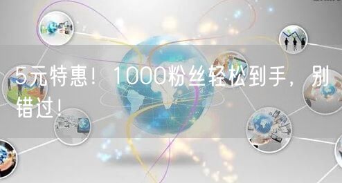 5元特惠！1000粉丝轻松到手，别错过！