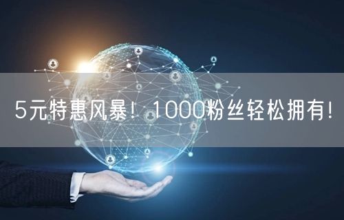 5元特惠风暴！1000粉丝轻松拥有！