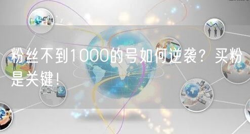 粉丝不到1000的号如何逆袭？买粉是关键！