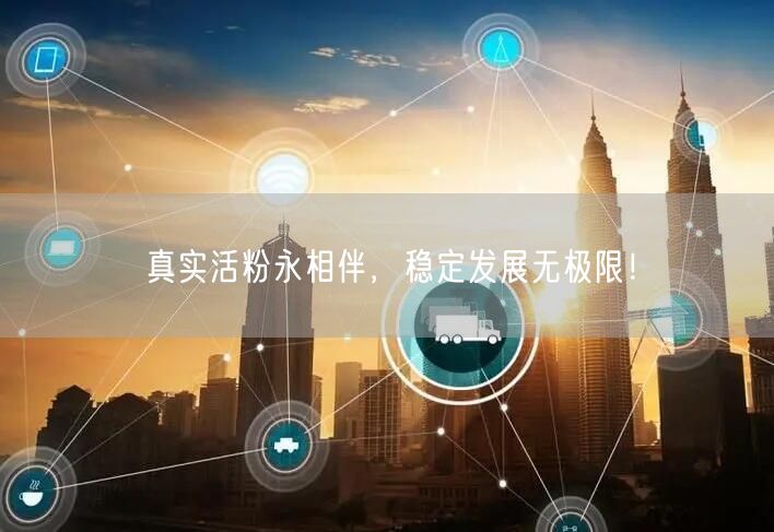 真实活粉永相伴，稳定发展无极限！