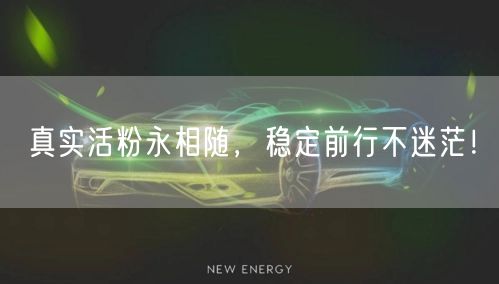 真实活粉永相随，稳定前行不迷茫！