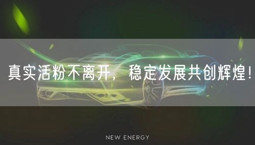 真实活粉不离开，稳定发展共创辉煌！
