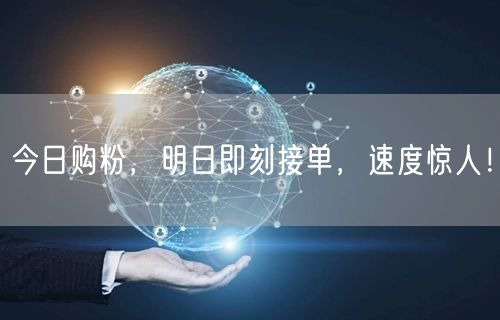 今日购粉，明日即刻接单，速度惊人！