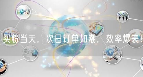 买粉当天，次日订单如潮，效率爆表！