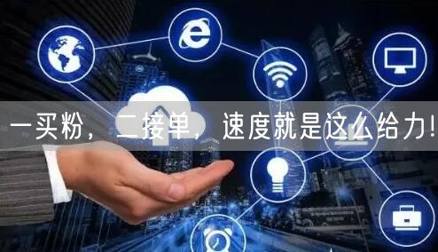 一买粉，二接单，速度就是这么给力！