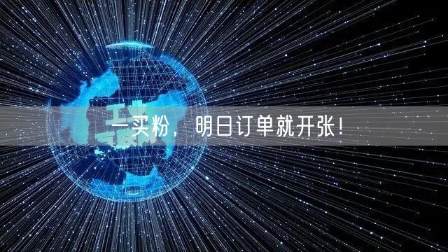 一买粉，明日订单就开张！