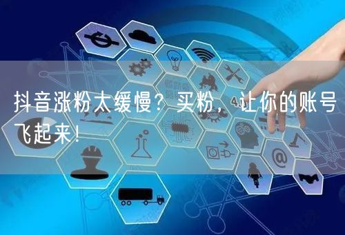 抖音涨粉太缓慢？买粉，让你的账号飞起来！