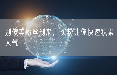 别傻等粉丝到来，买粉让你快速积累人气