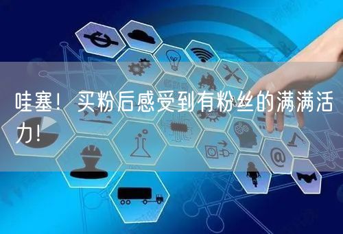 哇塞！买粉后感受到有粉丝的满满活力！