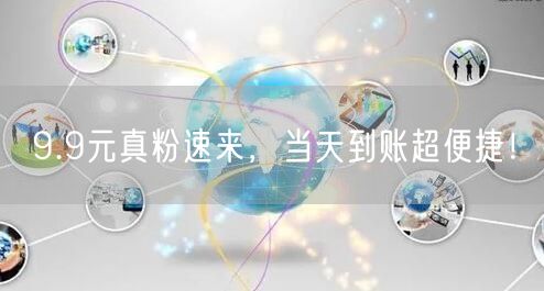 9.9元真粉速来，当天到账超便捷！