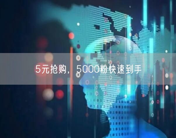 5元抢购，5000粉快速到手