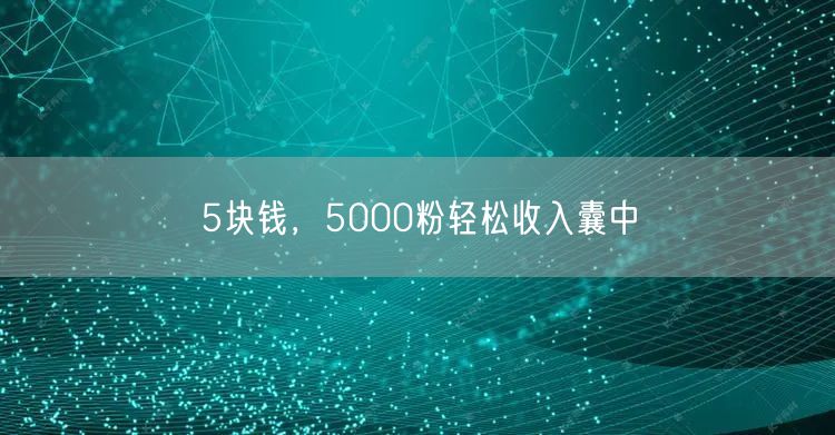 5块钱，5000粉轻松收入囊中