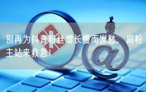 别再为抖音粉丝增长慢而发愁，刷粉主站来救急！