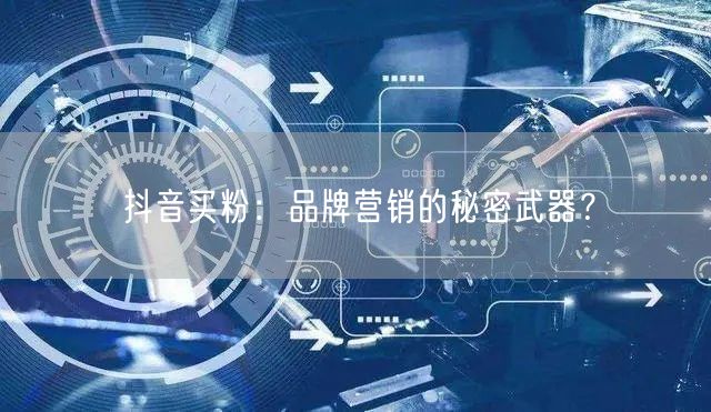 抖音买粉：品牌营销的秘密武器？