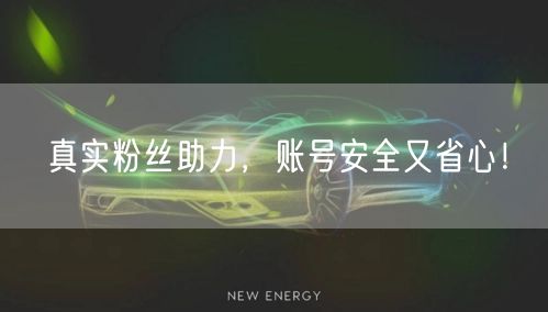 真实粉丝助力，账号安全又省心！