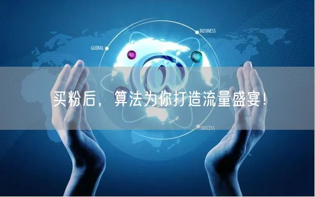 买粉后，算法为你打造流量盛宴！