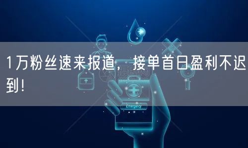 1万粉丝速来报道，接单首日盈利不迟到！