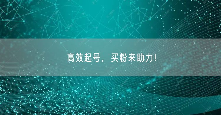 高效起号，买粉来助力！