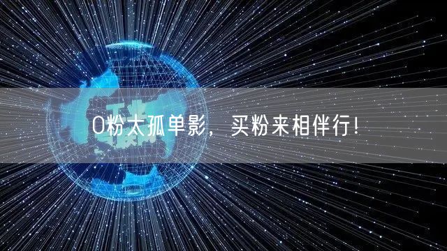 0粉太孤单影，买粉来相伴行！
