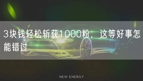3块钱轻松斩获1000粉，这等好事怎能错过