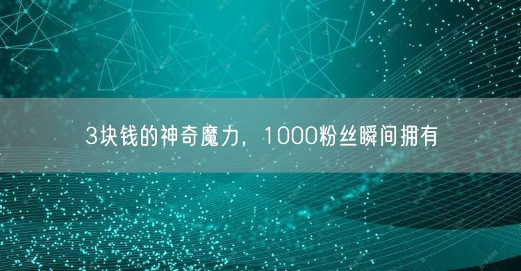 3块钱的神奇魔力，1000粉丝瞬间拥有