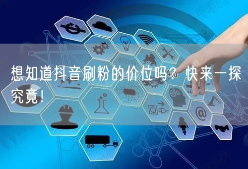 想知道抖音刷粉的价位吗？快来一探究竟！