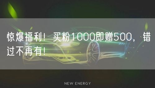 惊爆福利！买粉1000即赠500，错过不再有！