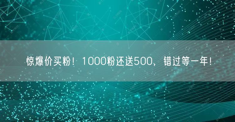 惊爆价买粉！1000粉还送500，错过等一年！