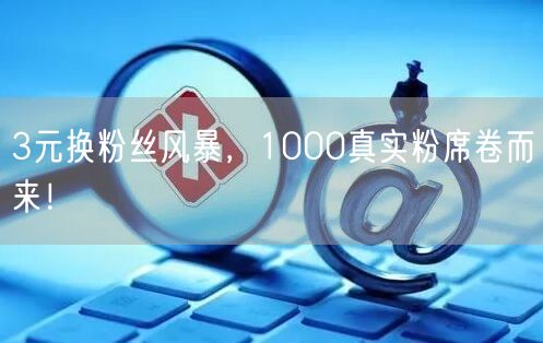 3元换粉丝风暴，1000真实粉席卷而来！