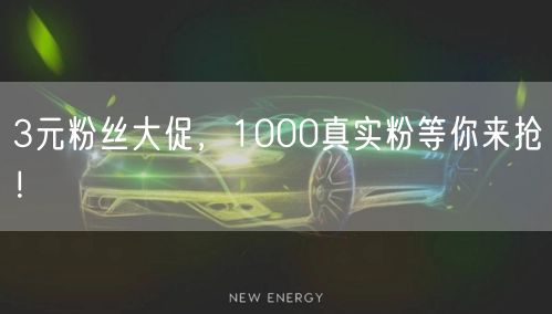 3元粉丝大促，1000真实粉等你来抢！