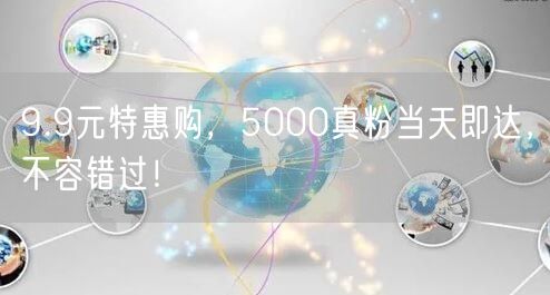9.9元特惠购，5000真粉当天即达，不容错过！
