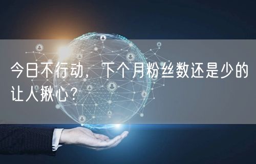 今日不行动，下个月粉丝数还是少的让人揪心？