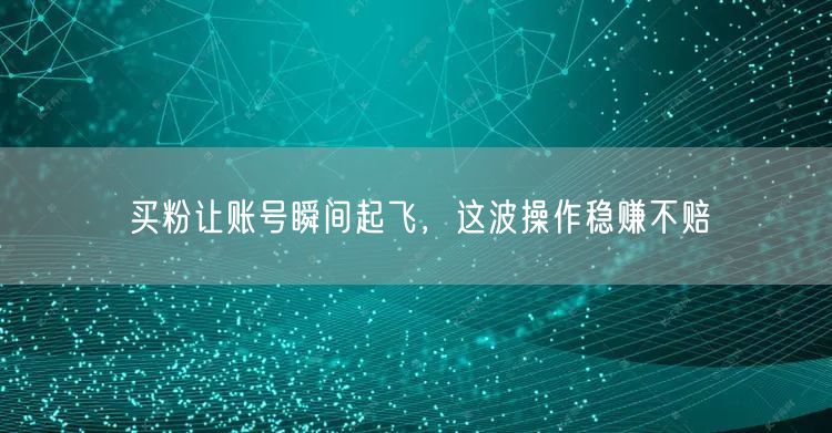 买粉让账号瞬间起飞，这波操作稳赚不赔