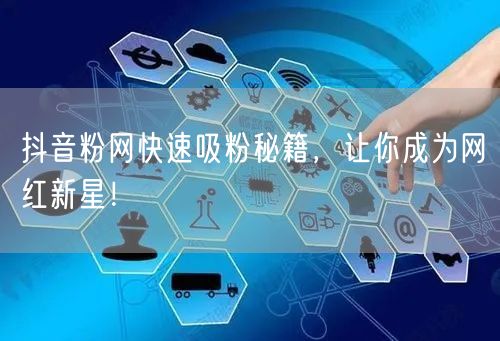 抖音粉网快速吸粉秘籍，让你成为网红新星！