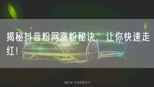 揭秘抖音粉网涨粉秘诀，让你快速走红！