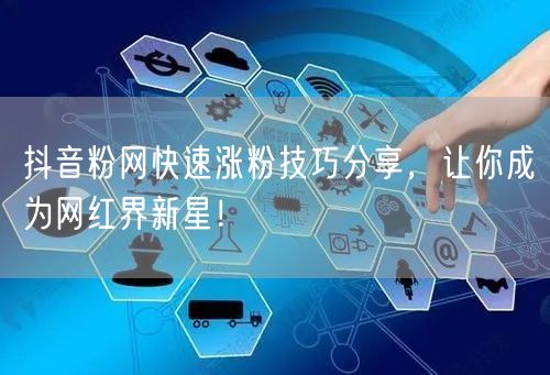 抖音粉网快速涨粉技巧分享，让你成为网红界新星！
