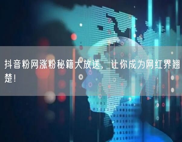 抖音粉网涨粉秘籍大放送，让你成为网红界翘楚！