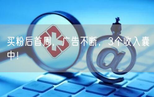 买粉后首周，广告不断，3个收入囊中！