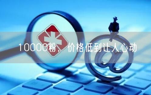 10000粉，价格低到让人心动