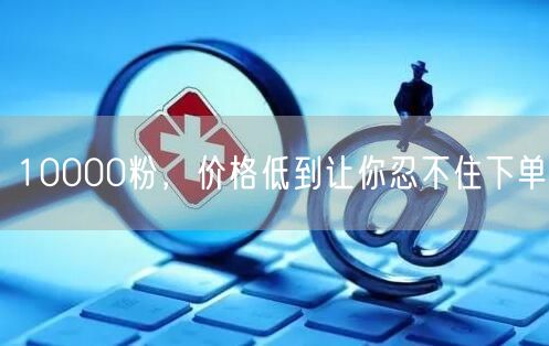10000粉，价格低到让你忍不住下单